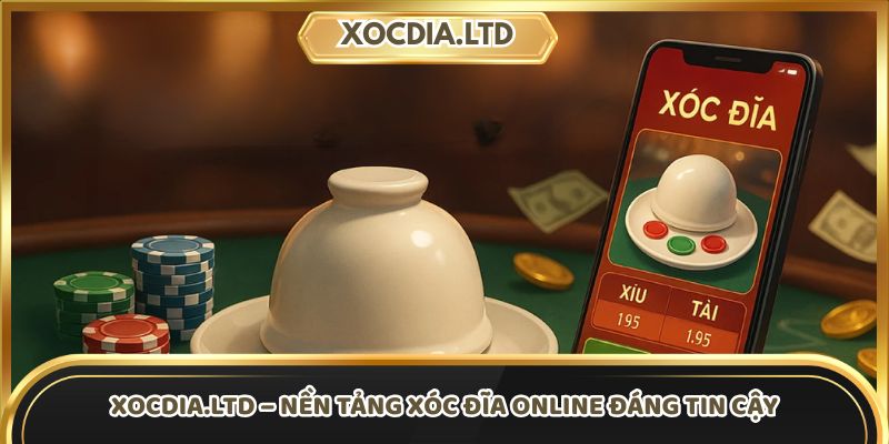 xocdia.ltd